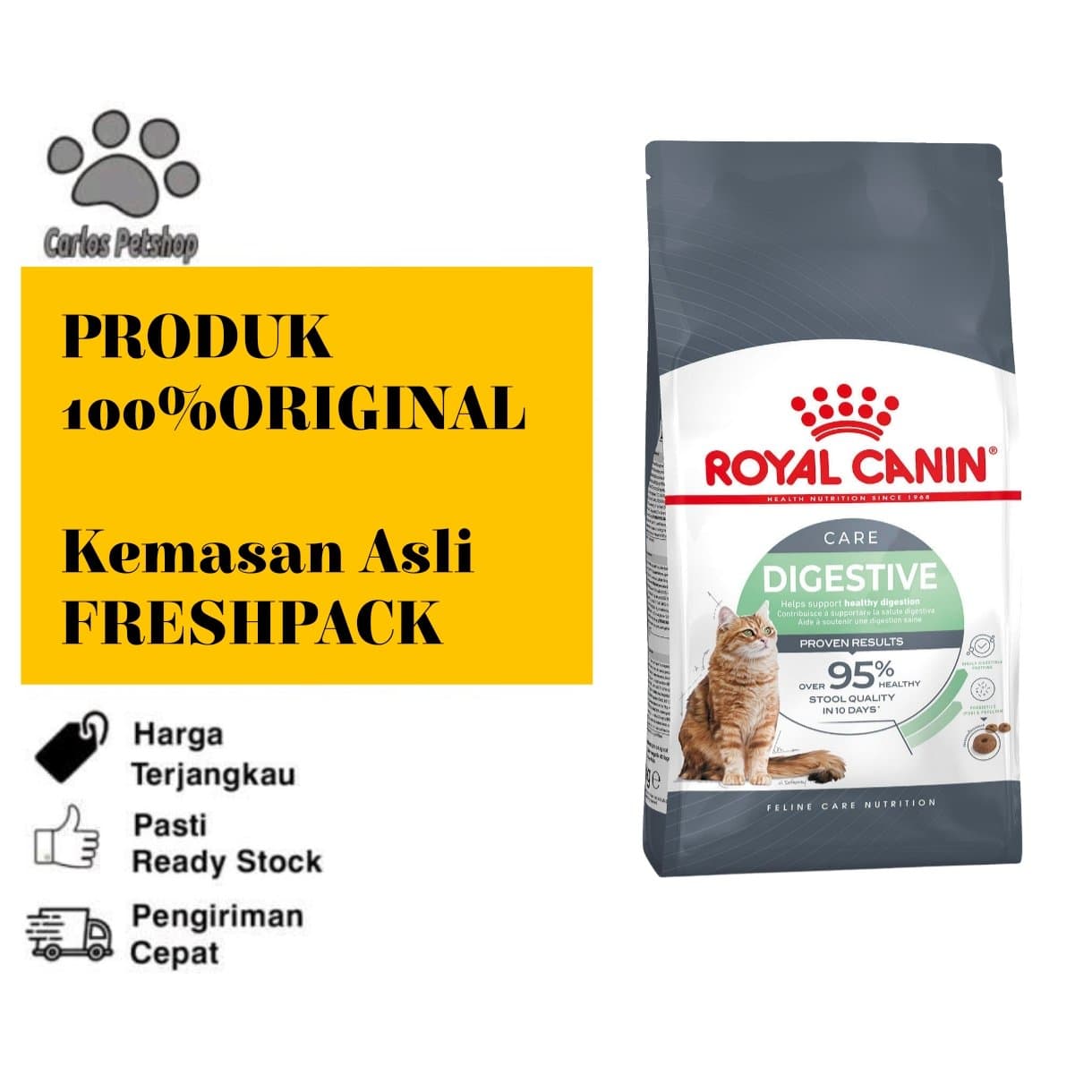 Royal Canin Digestive Care Dry Cat Food
