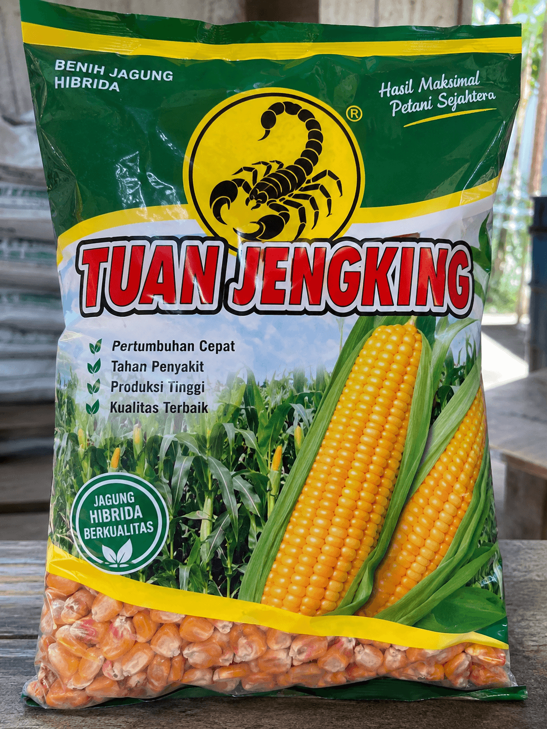 Benih Jagung Berkualitas Premium untuk Pertanian