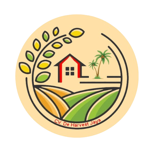 De Harvest Jaya Store